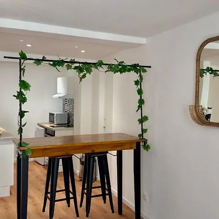 Les Templiers - Downtown And Private Garage