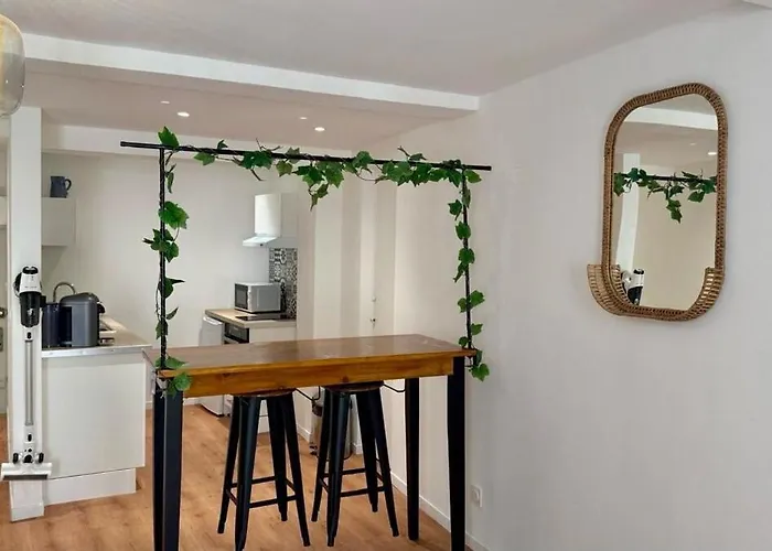 Les Templiers - Downtown And Private Garage